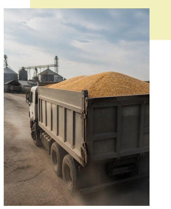 Перевозка сельхозпродукции навалом в Череповец по цене от 3066 р. | Агросервис-Чрп