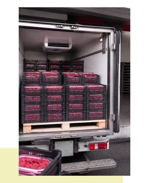 Перевозка малины в Череповец с соблюдением температурного режима